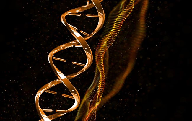 Scientists uncover new DNA-building process once seen as biological error