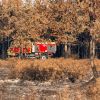 Ukrainian rescuers arrive in France to battle massive wildfire