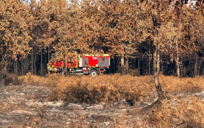 Ukrainian rescuers arrive in France to battle massive wildfire