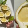 Summer dessert with lemon and cream: Recipe for delicate natural ice cream