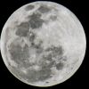 SpaceX rocket debris slams into the Moon after months in space