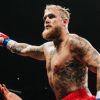 Jake Paul agrees to fight undefeated champion: What is known