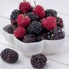 This superberry may help fight inflammation and chronic disease