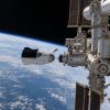 Human brain tissue research comes to the ISS via new SpaceX delivery to NASA