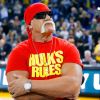 Hulk Hogan sought peace before death - Details from his last conversations