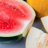 Melon vs. watermelon: Which summer fruit is healthier choice?