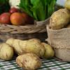 Potatoes when losing weight and best ways to cook them: Coach's advice