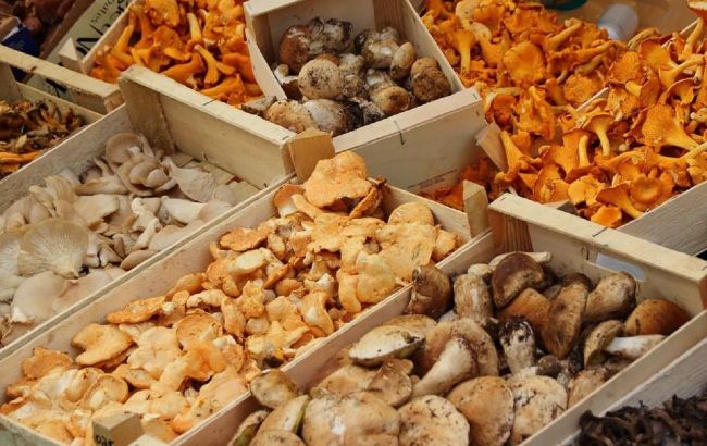 Chanterelles and their benefits: Nutritionist's recommendation