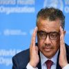WHO chief warns world to prepare for new hantavirus cases
