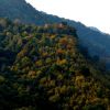 Beyond Dracula: Hidden Carpathian fortress that inspired Jules Verne instead