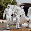 Bodies of 1,200 Ukrainians returned by Russia