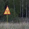 Part of Chornobyl Reserve lands to be transferred to border guards: Reason explained