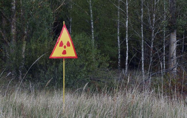 Part of Chornobyl Reserve lands to be transferred to border guards: Reason explained