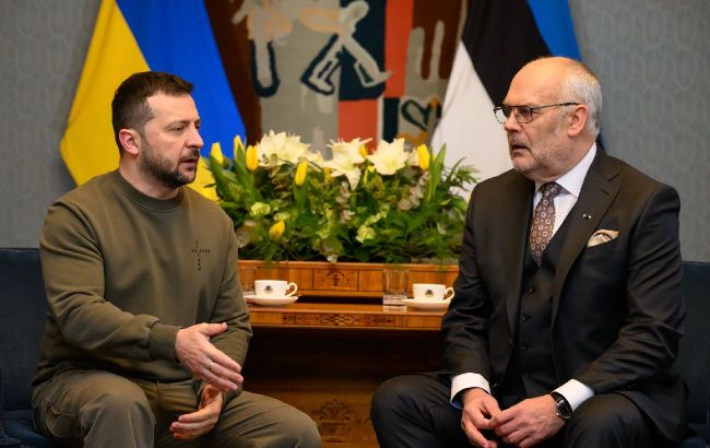 Zelenskyy meets with President of Estonia