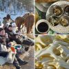 Holidays in Ukraine: Winter activities for tourists in Carpathian mountains
