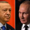 Erdogan to discuss 'grain corridor' and prisoner exchange with Putin in Sochi
