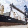 Ukraine starts exporting grain through Croatian ports