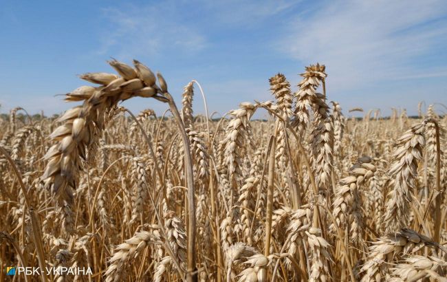 Bulgarian Parliament supports lift of Ukrainian grain import ban