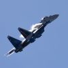 Video emerges of Su-35 fighter jet shot down over Russia