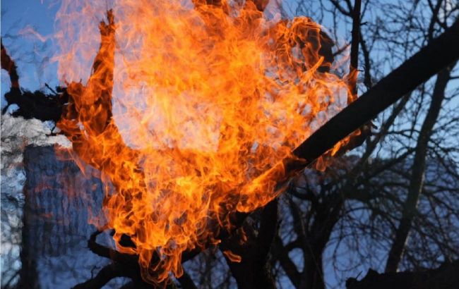 Ukraine's Zaporizhzhia under fire again: Russia strikes industrial facility