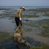 Black Sea dolphins are going blind off Ukraine's Odesa coast due to military sonars
