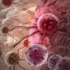 Products increasing cancer risk revealed