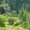 Battle with North Korean soldiers in Kursk region was attempt to test Ukrainian defense - NYT