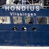 Hantavirus after COVID: Could cruise ship outbreak become new global threat?