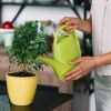 Stop watering plants this way before they wilt overnight