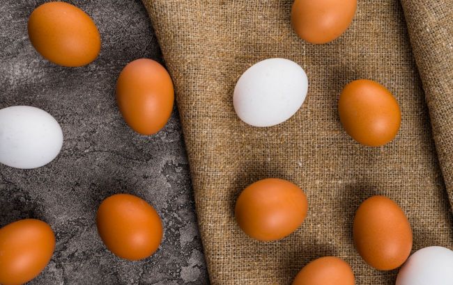 Bulgaria demands EU protection against growth of egg imports from Ukraine