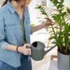 6 key tips for watering plants