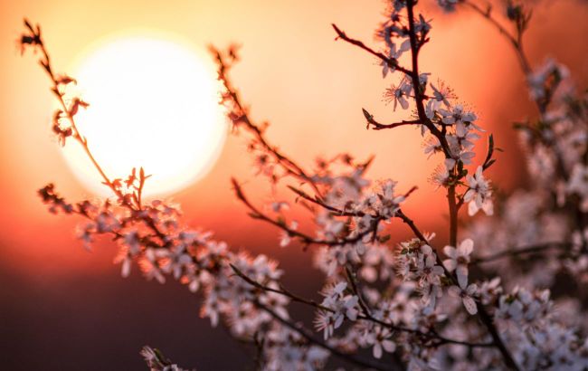 Full Flower Moon 2025: Turning point in life