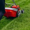 5 common lawn care mistakes everyone makes
