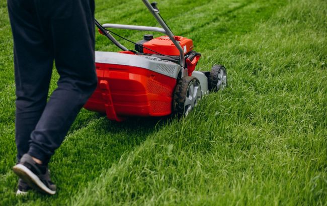 5 common lawn care mistakes everyone makes