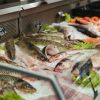 10 types of fish you should eat to live longer