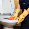 This toilet part is full of dirt and bacteria &mdash; yet it is rarely cleaned properly