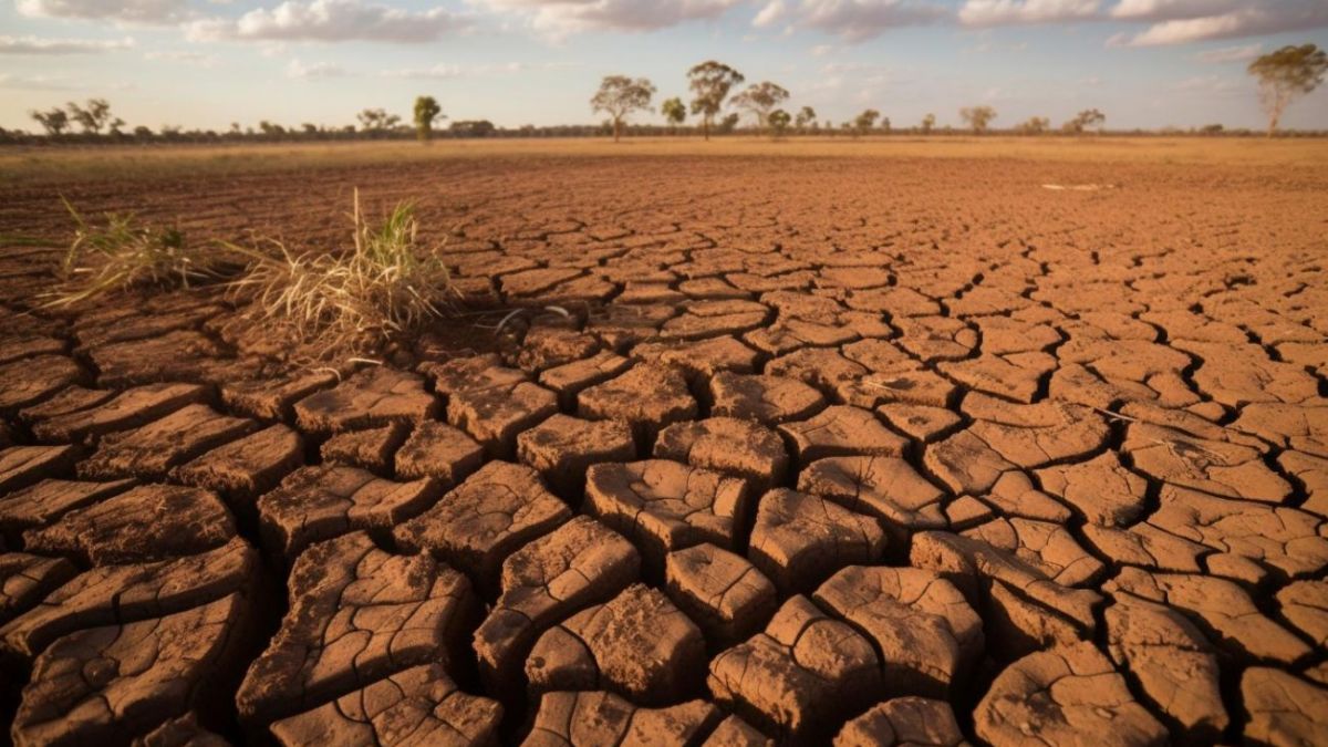 Year 2024 could go down as record-breakingly hot