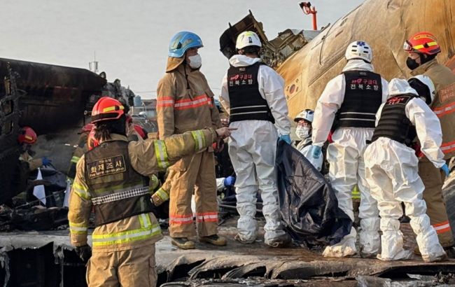 Plane crash in South Korea: Investigation focuses on bird strike, landing gear failure