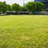 5 lawn care mistakes that are killing your grass
