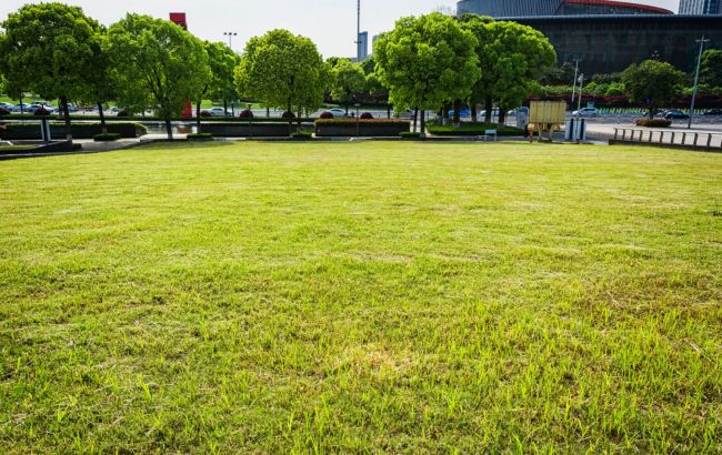 5 lawn care mistakes that are killing your grass