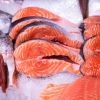 Salmon or mackerel: Which one is richer in omega-3 and nutrients