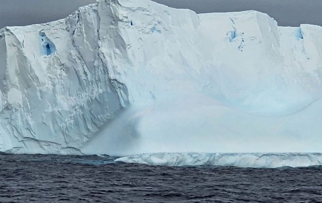 Ukrainian polar explorers show huge iceberg in the Antarctic: Incredible photos