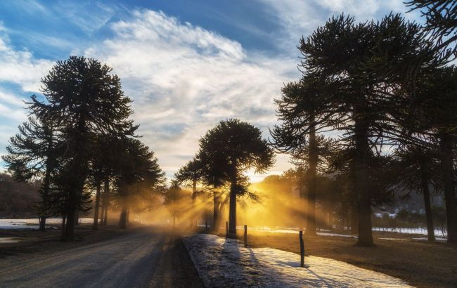 Winter solstice 2024: Traditions, rituals, and folk signs