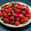 Eat strawberries at this exact time: Unlock maximum energy and health boost