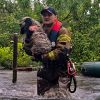 Massive downpour: Annual rainfall hits Ukraine's Lviv region in a single day, flooding 230 homes