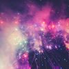 How fireworks impact birds' behavior on New Year's Eve