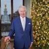 King Charles delivers Christmas address near replantable tree