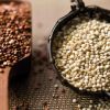 Buckwheat or quinoa: Smartest choice for clean, healthy diet