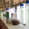 Ukraine's intelligence: Russia hides secret biolabs on island for virus testing