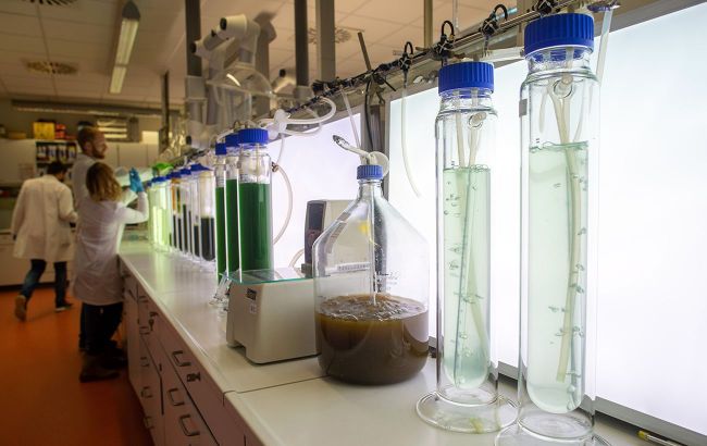 Ukraine's intelligence: Russia hides secret biolabs on island for virus testing